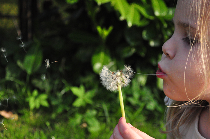 Child and Dandelion - Children's books